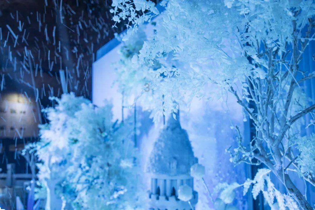 异形：隔离