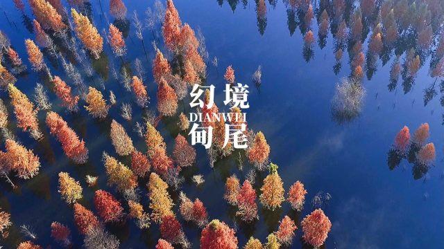 行尸走肉