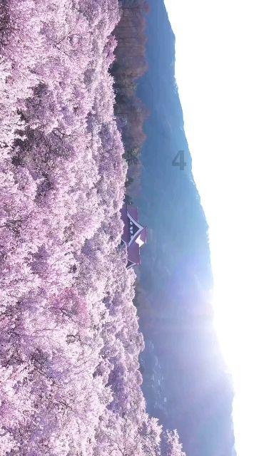 拯救红色方块