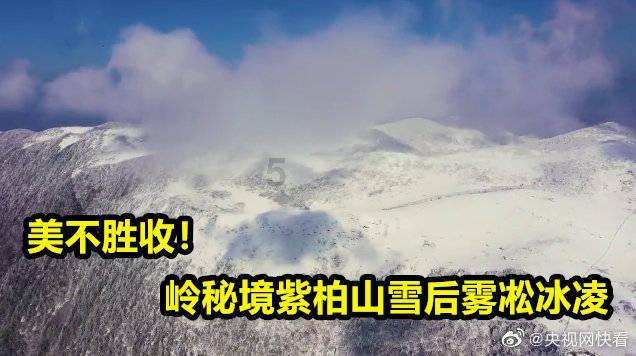 妙鸭相机app下载官网