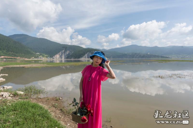 可爱兔子营救
