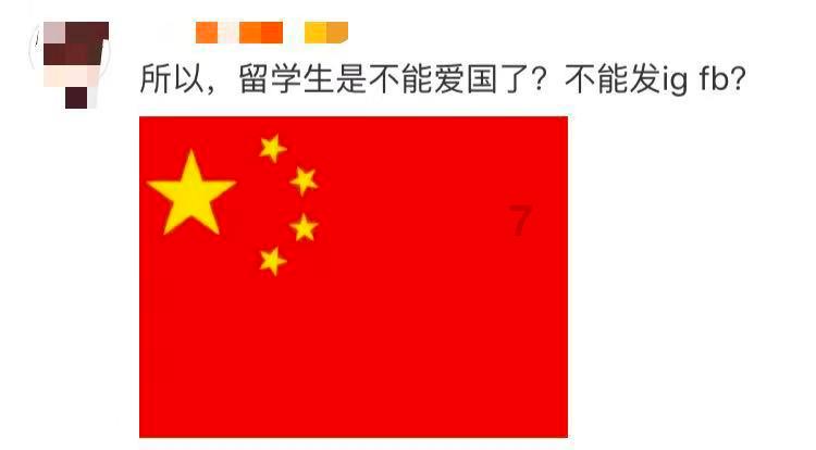 飞天小猪仔