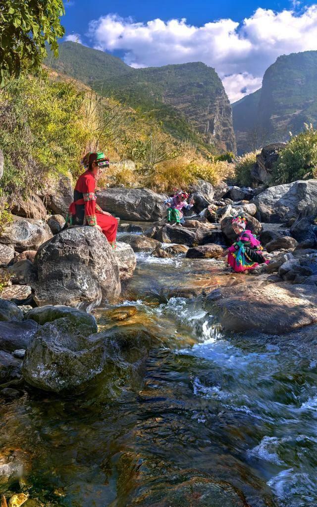 生化危机：浣熊市行动