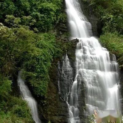 探索我家的户口本有我伯父老婆和女儿在,可以去派出所把她们两个划开吗?,解决你的困惑之路