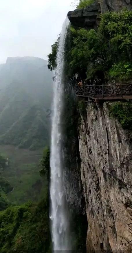 僵尸屠戮